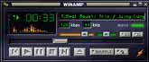 WinAmp Icon